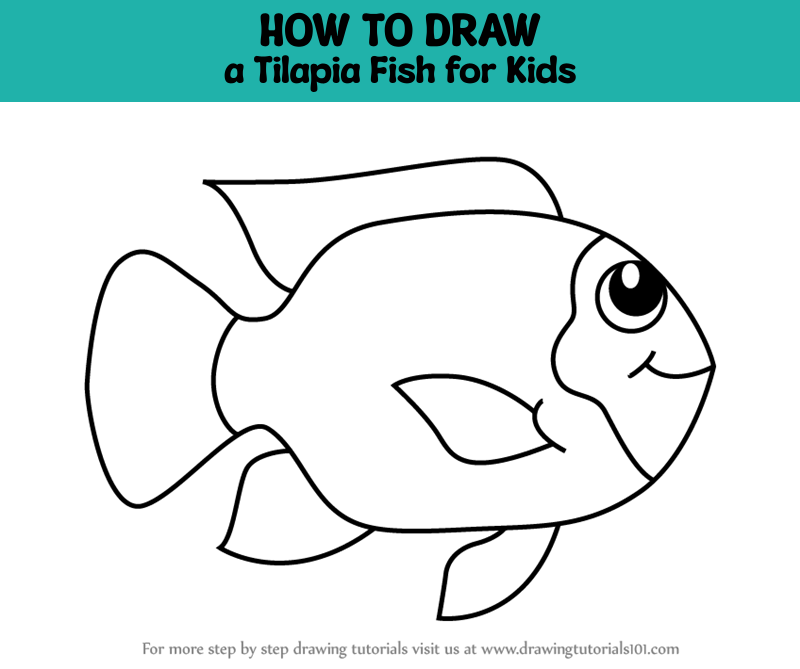 how-to-draw-a-tilapia-fish-for-kids-animals-for-kids-step-by-step