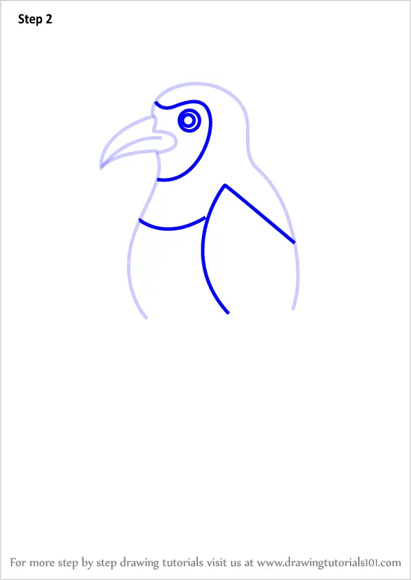 Learn How to Draw a Trogon Bird for Kids (Animals for Kids) Step by