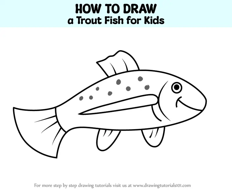 How to Draw a Trout Fish for Kids (Animals for Kids) Step by Step ...