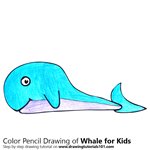 How to Draw a Whale for Kids