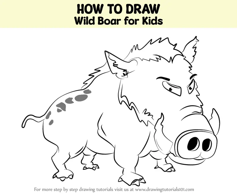 How To Draw Wild Boar For Kids (Animals For Kids) Step By Step ...