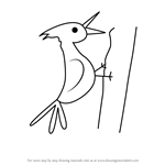 How to Draw a Woodpecker for Kids