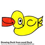 How to Draw a Duck from word Duck