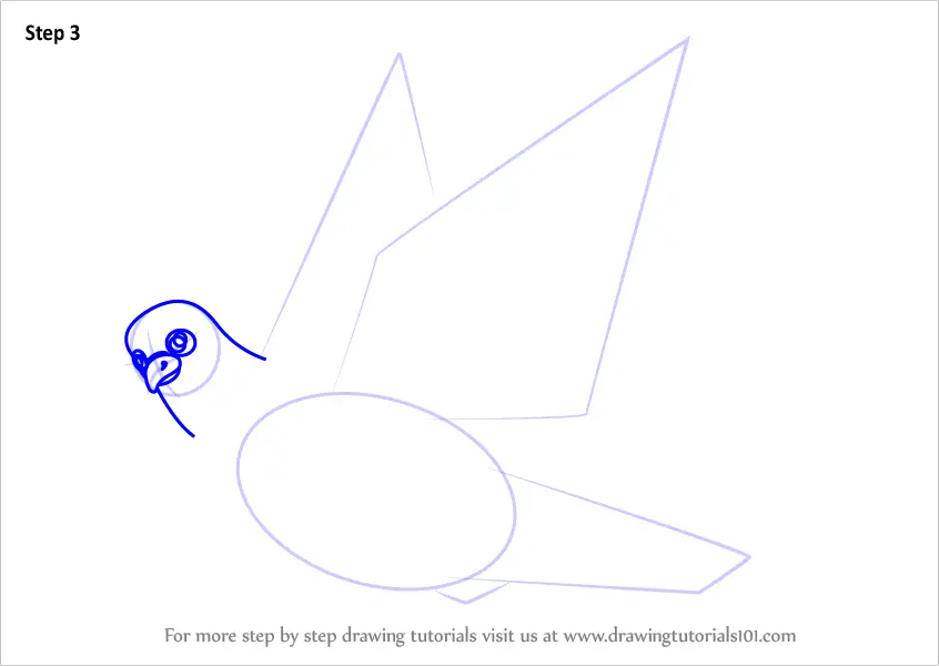 Learn How to Draw Pigeon in Flight Birds for Kids Step 