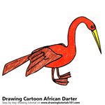 How to Draw a Cartoon African Darter