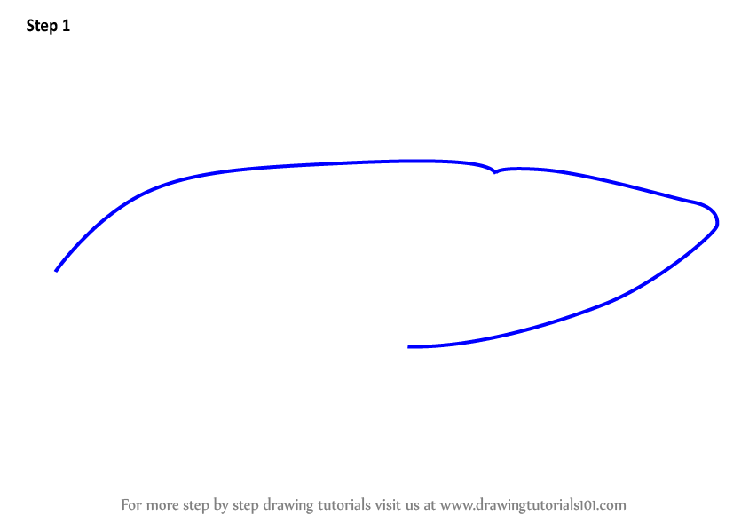 Learn How To Draw A Cartoon Blue Whale Cartoon Animals Step By