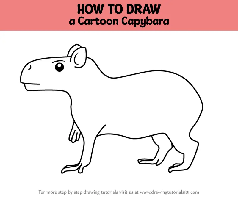 How to Draw a Cartoon Capybara (Cartoon Animals) Step by Step