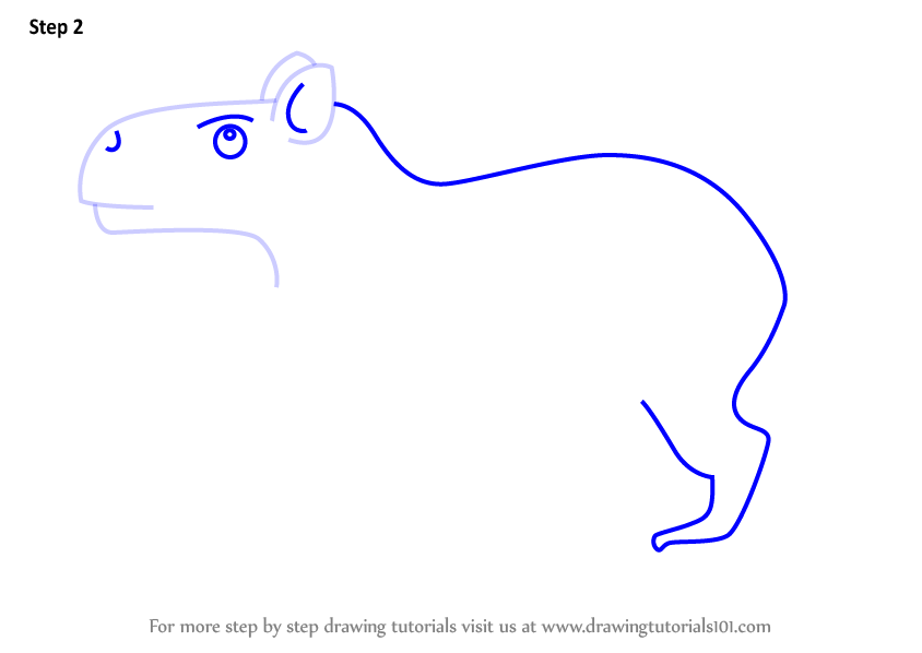 Learn How to Draw a Cartoon Capybara (Cartoon Animals) Step by Step