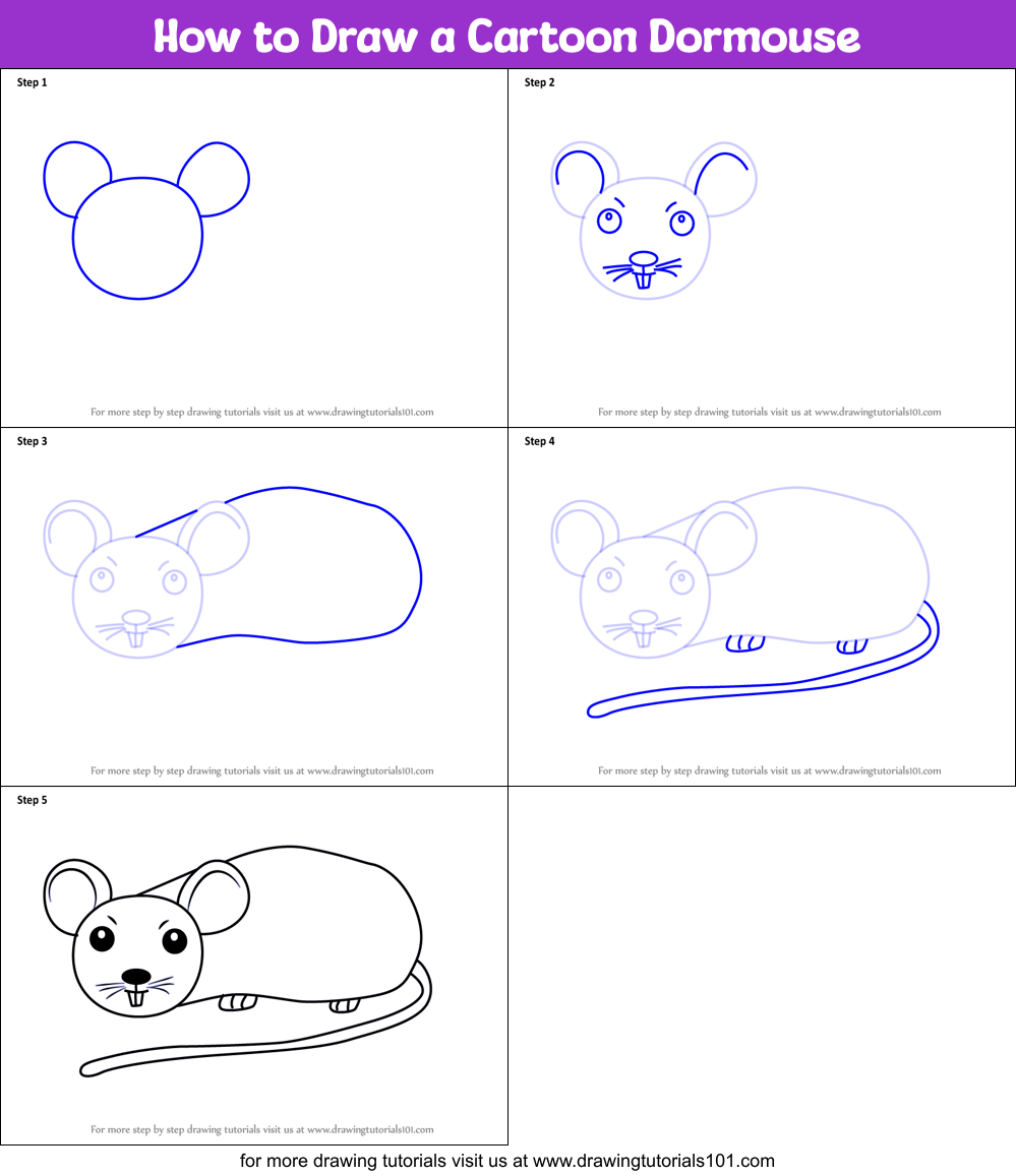 How to Draw a Cartoon Dormouse (Cartoon Animals) Step by Step ...