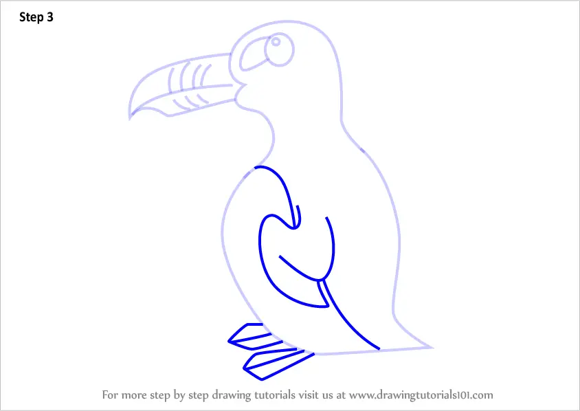 Learn How to Draw a Cartoon Great Auk (Cartoon Animals) Step by Step