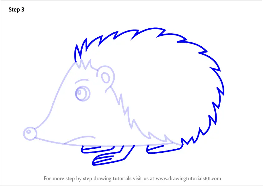 How to Draw a Cartoon Hedgehog (Cartoon Animals) Step by Step ...