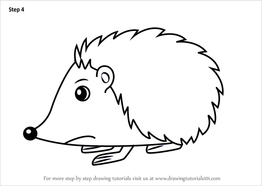 How to Draw a Cartoon Hedgehog (Cartoon Animals) Step by Step ...
