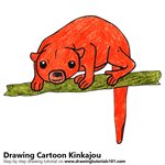 How to Draw a Cartoon Kinkajou