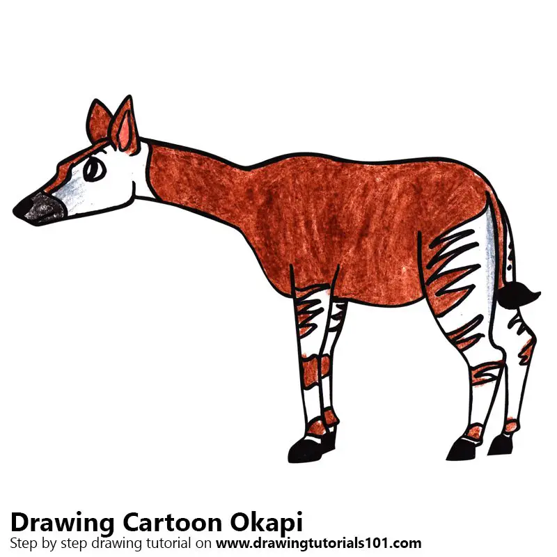Cartoon Okapi Color Pencil Drawing