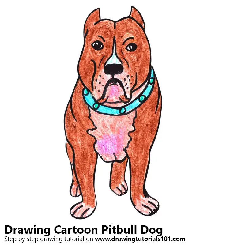 Cartoon Pitbull Dog Color Pencil Drawing