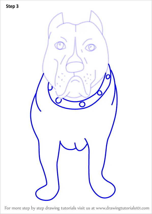 Learn How to Draw a Cartoon Pitbull Dog (Cartoon Animals) Step by Step
