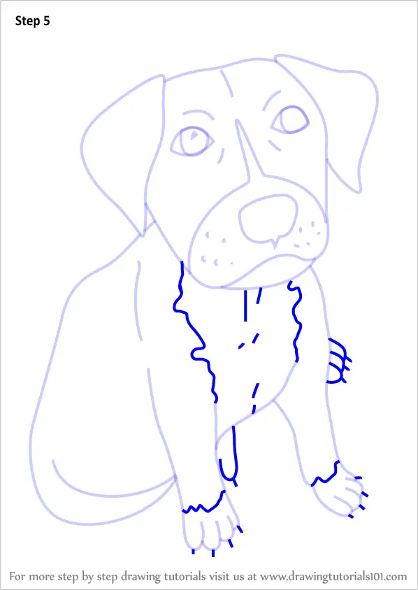 How to Draw a Cartoon Pitbull Puppy (Cartoon Animals) Step by Step