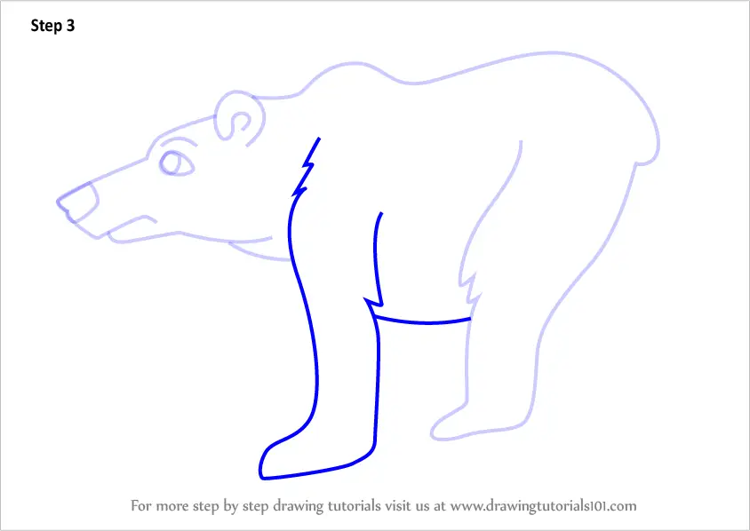 How to Draw a Cartoon Polar Bear (Cartoon Animals) Step by Step ...