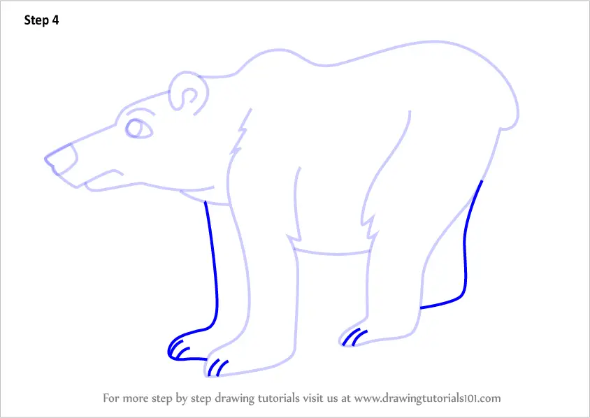 How to Draw a Cartoon Polar Bear (Cartoon Animals) Step by Step ...