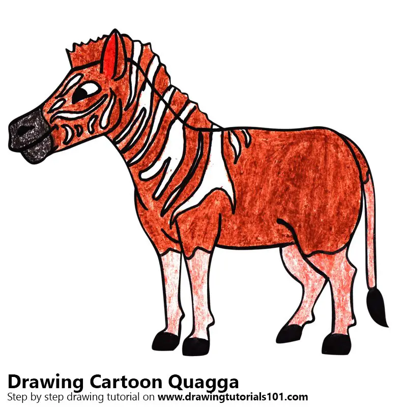 Cartoon Quagga Color Pencil Drawing