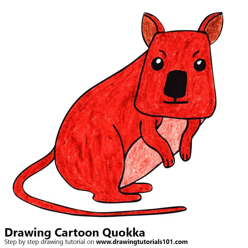 Cartoon Quokka Color Pencil Drawing