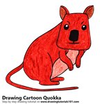 Cartoon Quokka Color Pencil Sketch