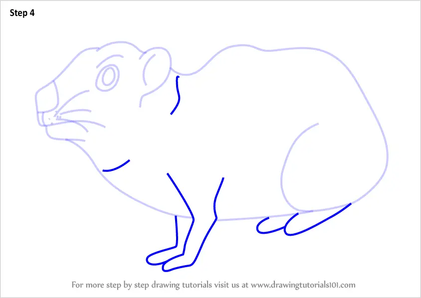 draw rocks cartoon how to Draw Cartoon Step Step by a to Hyrax Rock How