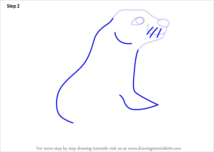 How to Draw a Cartoon Sea Lion (Cartoon Animals) Step by Step ...