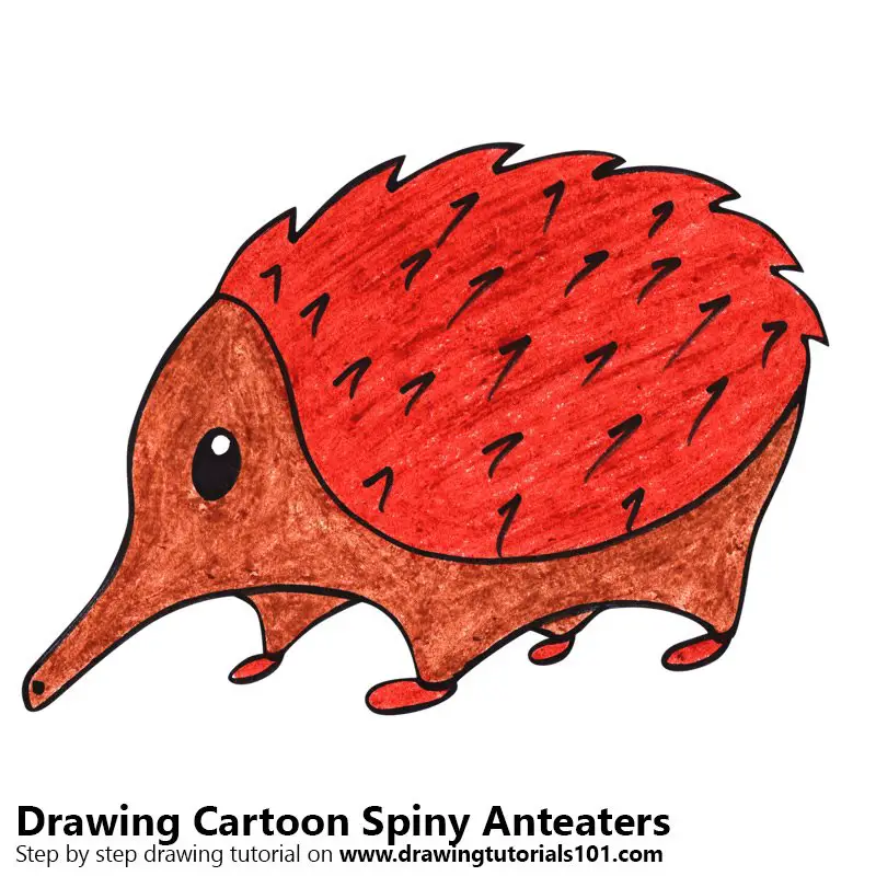 Cartoon Spiny Anteater Color Pencil Drawing