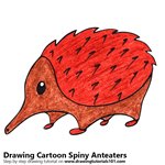 Cartoon Spiny Anteater Color Pencil Sketch