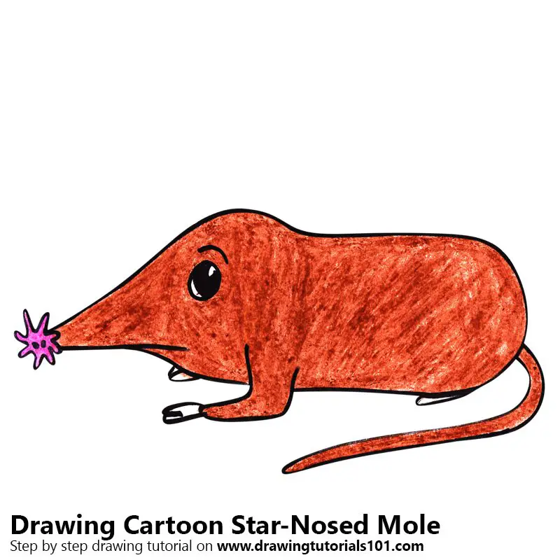 Cartoon Star-Nosed Mole Color Pencil Drawing