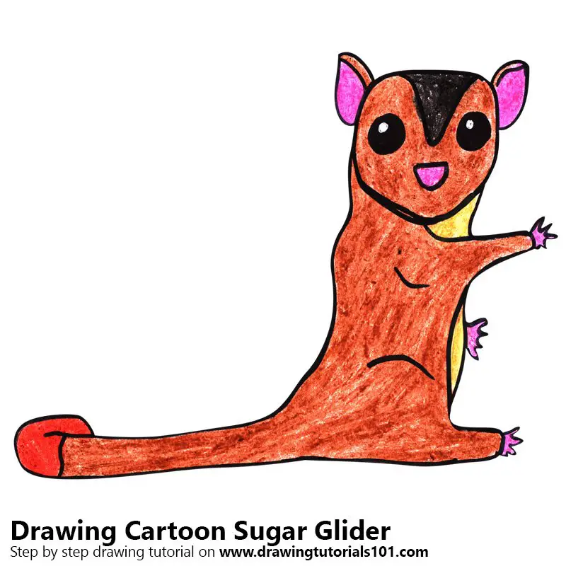 Cartoon Sugar Glider Color Pencil Drawing