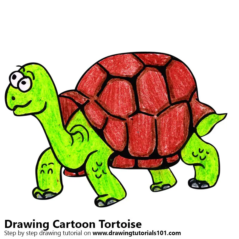 Cartoon Tortoise Color Pencil Drawing