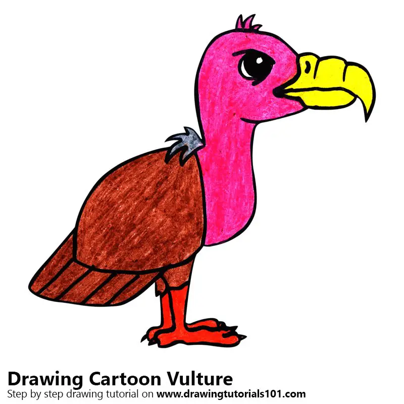 Cartoon Vulture Color Pencil Drawing