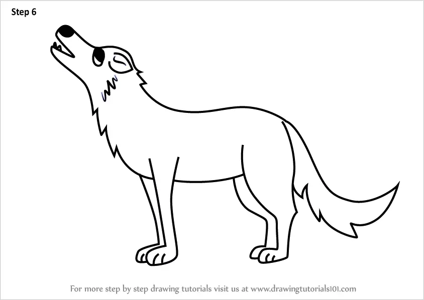 How To Draw a Wolf 10 Easy Drawing Projects