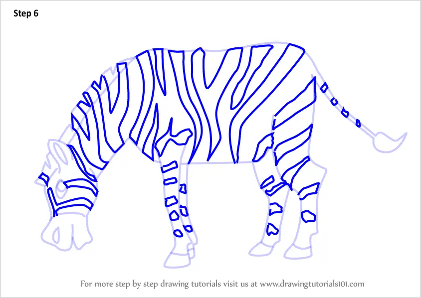 Learn How to Draw a Cartoon Zebra (Cartoon Animals) Step by Step : Drawing Tutorials