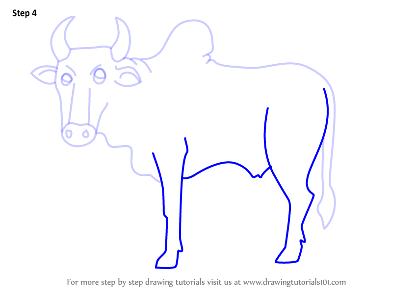 How to Draw a Cartoon Zebu (Cartoon Animals) Step by Step ...