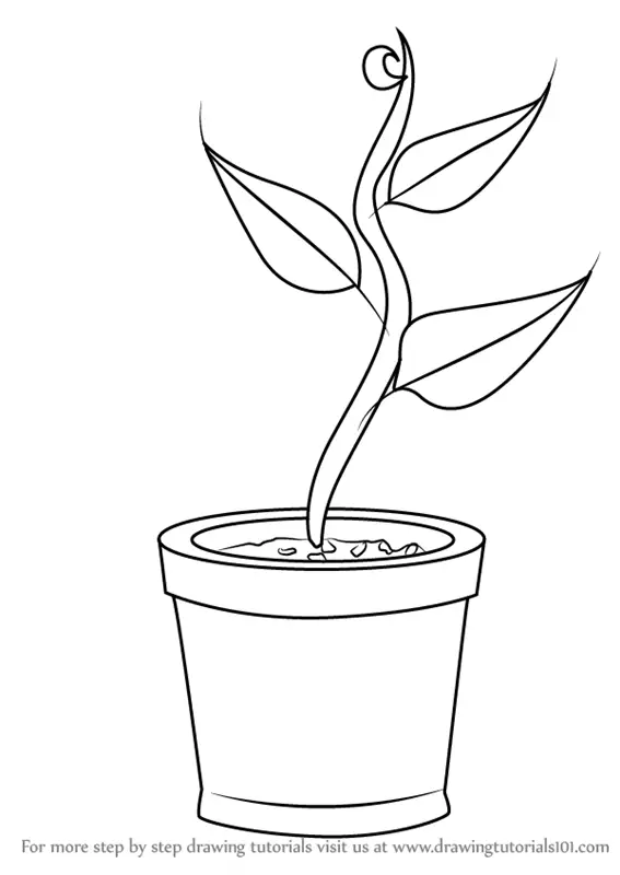 How to Draw Plant in Pot (Plants for Kids) Step by Step