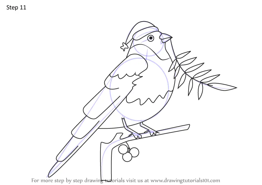 Learn How to Draw Christmas Bird (Christmas) Step by Step : Drawing