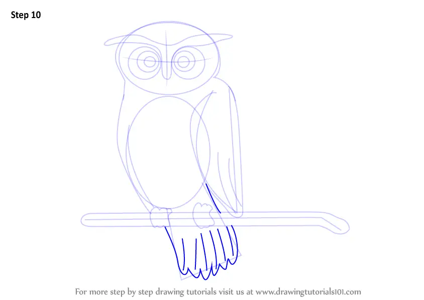 How to Draw a Scary Owl (Halloween) Step by Step | DrawingTutorials101.com