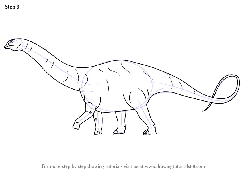 How to Draw a Apatosaurus