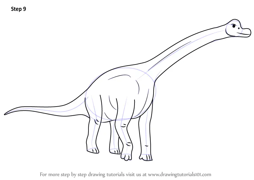 Learn How to Draw a Brachiosaurus (Dinosaurs) Step by Step : Drawing