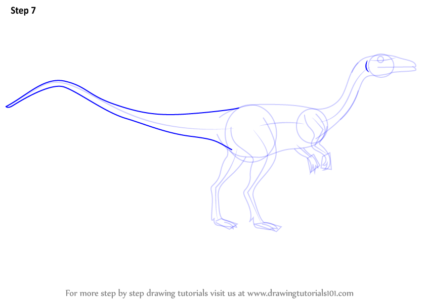 Download Learn How to Draw a Coelophysis (Dinosaurs) Step by Step : Drawing Tutorials