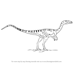 How to Draw a Coelophysis