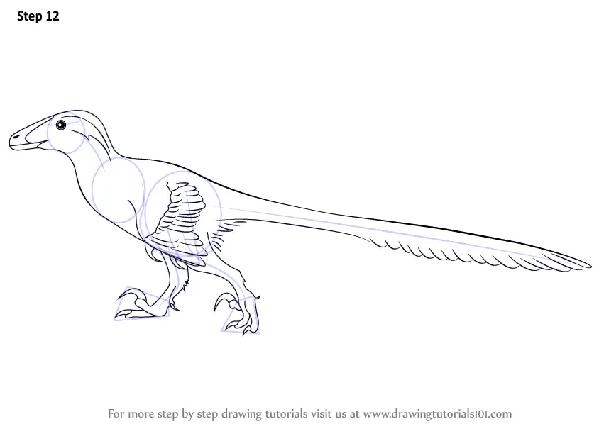 Learn How to Draw a Deinonychus (Dinosaurs) Step by Step : Drawing ...