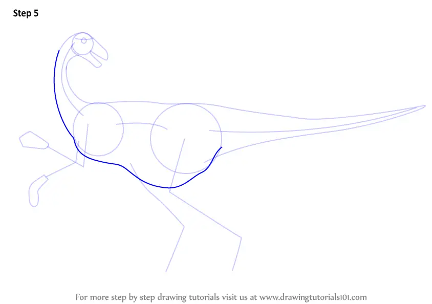 How to Draw an Ornithomimid Dinosaur (Dinosaurs) Step by Step ...