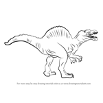How to Draw a Spinosaurus