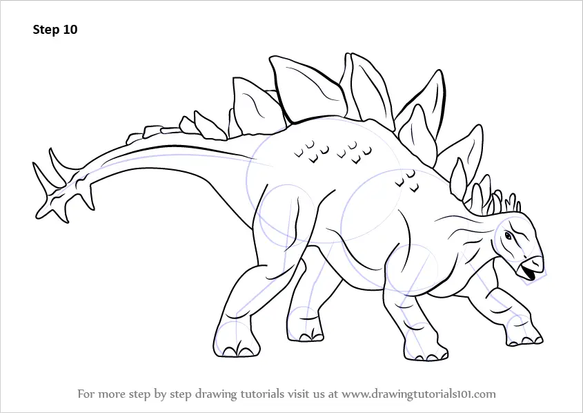 How to Draw Stegosaurus Dinosaur (Dinosaurs) Step by Step