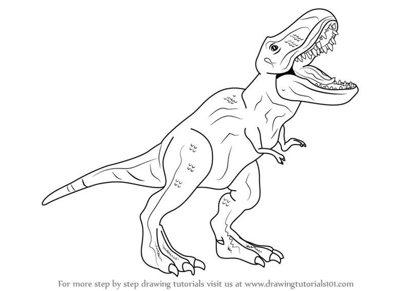 Learn How To Draw A Tyrannosaurus Rex Dinosaurs Step By Step