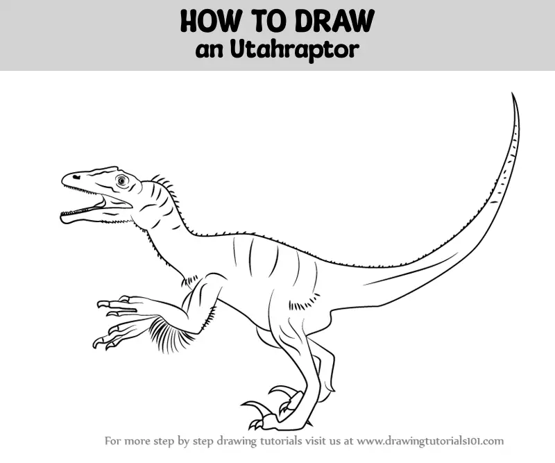 How to Draw an Utahraptor (Dinosaurs) Step by Step ...
